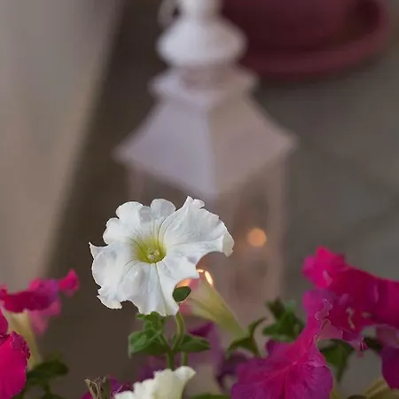 Destinesia Luxury Apt With Balcony,2min From The Sea